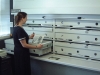 Vertical carousels in a museum with drawers