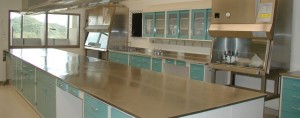 Hospital Lab Stainless Steel Casework Furniture resists germs